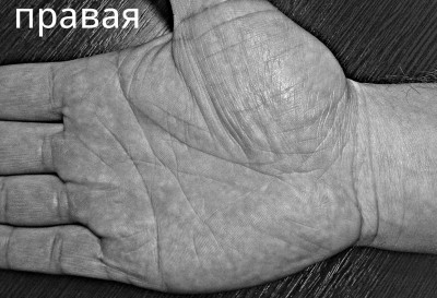 Вопросы по Хирологии писать здесь. Просмотр ладони. Тема для данных - PicsArt_1420825118085.jpg