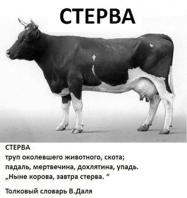 Современный секс - Bwfz5Y7-rp4.jpg