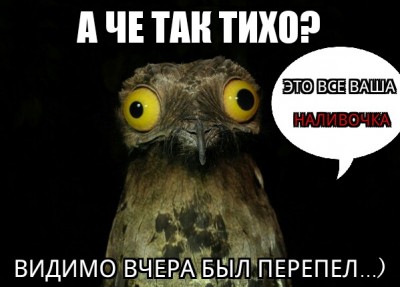 Дела давно минувших дней ИТОГИ  - Weird Stuff I Do Potoo 19032016174948.jpg