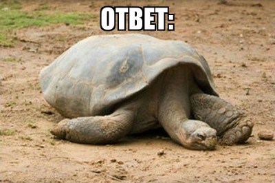 . - черепаха.jpg