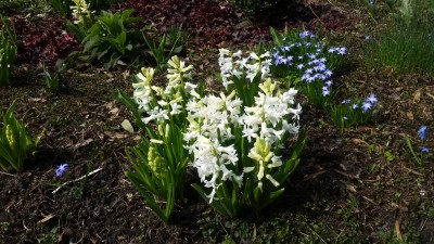 . - 20160402_145118.jpg