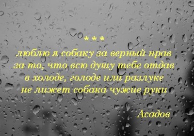 Все люди берегли его стихи,но никто- его душу ИТожки  - 6231983dcb9e33086d3dcf7894eaae53.jpg