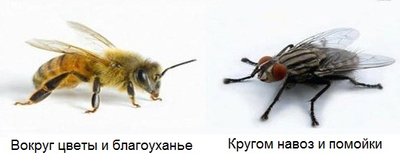 О восприятии астрального плана - aIeGIT0X1.jpg