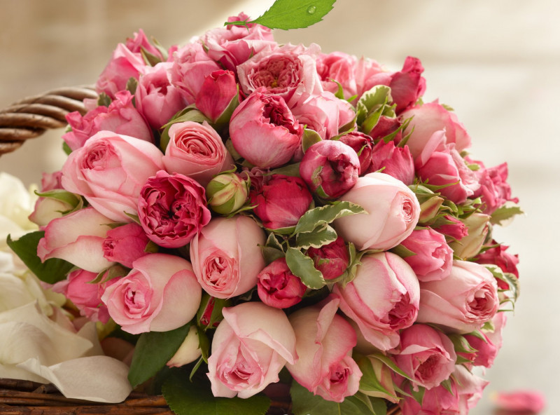 Простая заливка: Подводим итоги стр 3  - roses-pink-bouquet-beauty-rozy-rozovye-butony-lepestki-buket-krasota.jpg