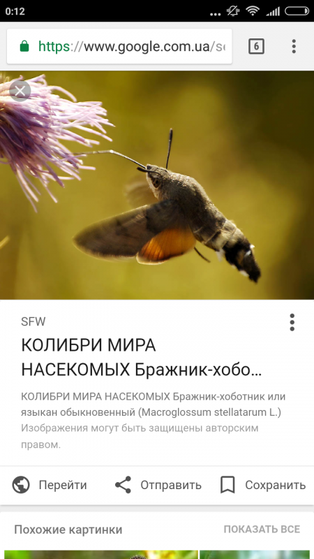 Воспоминания о лете. ГОСТЬ. Итоги 4 стр. - Screenshot_2017-10-03-00-12-14-211_com.android.chrome.png