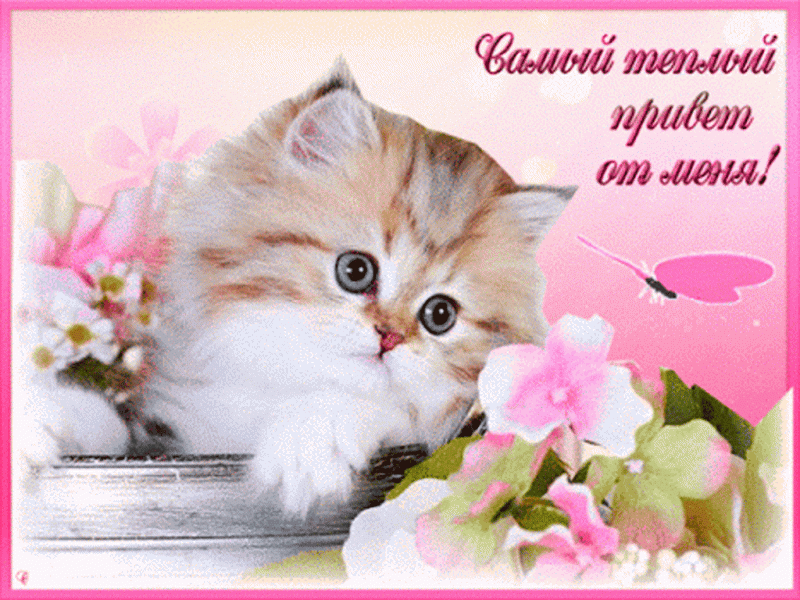 Что в вазе? итоги подведены - 384523252.gif