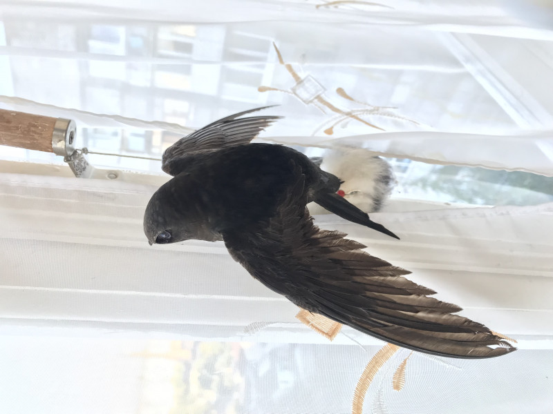 Помощь в толковании раскладов ТАРО - 3 - 53EEC7E0-40C9-4E08-8C0B-19996B4D90A2.jpeg