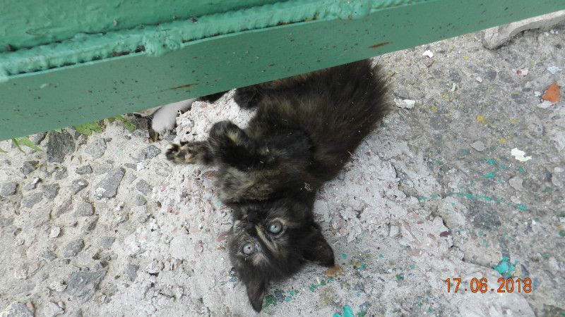 ЖИВ - МЕРТВ - DSCN9018.JPG