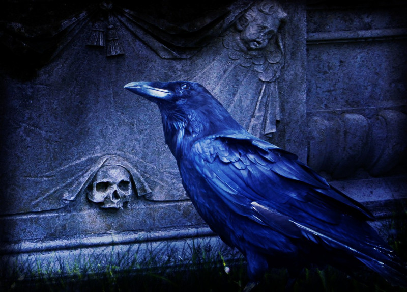 Тотем ворона - composing_raven_dark_cemetery_night_bird-1021710.jpg!d.jpg